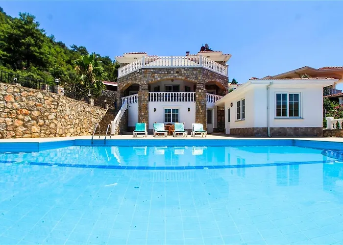 Tekce Yesiluzumlu N17