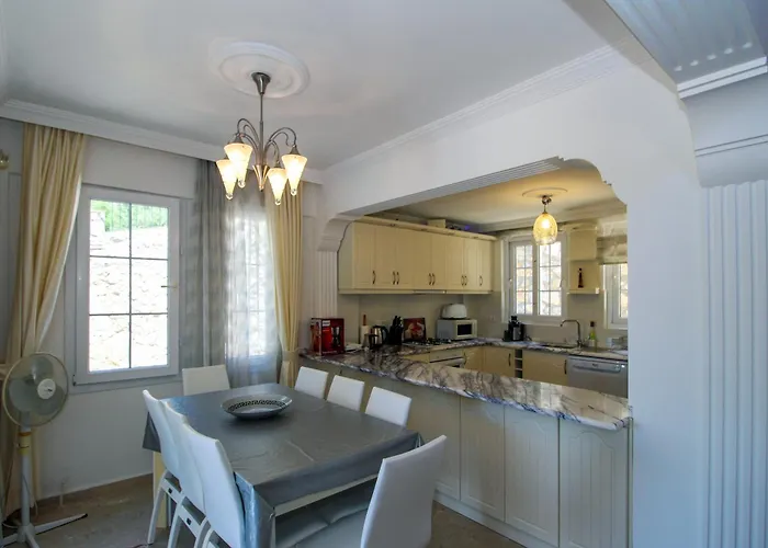 Villa Tekce Yesiluzumlu N17