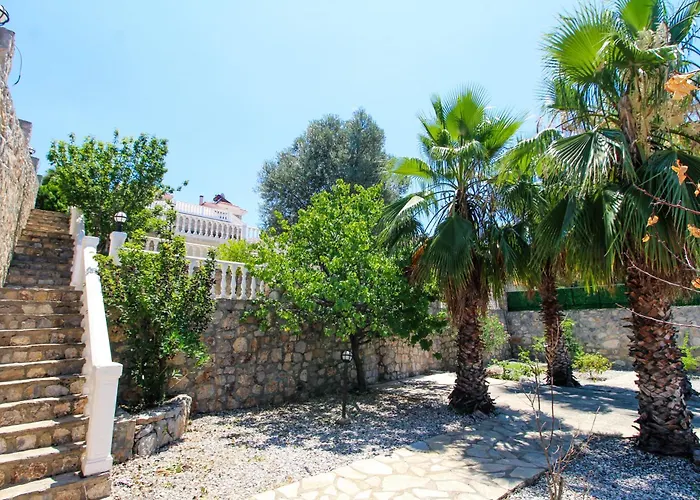 Tekce Yesiluzumlu N17