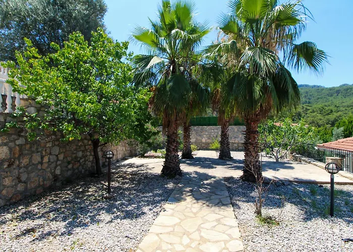 Tekce Yesiluzumlu N17 * Uzumlu (Aegean)