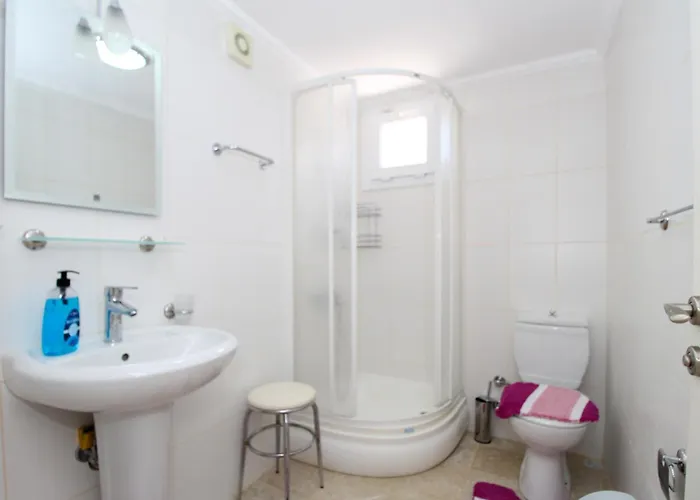 Tekce Yesiluzumlu N17