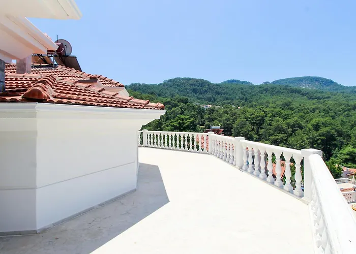 Tekce Yesiluzumlu N17 *