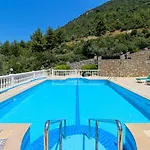 Tekce Yesiluezuemlue No 17 Uzumlu (Aegean)