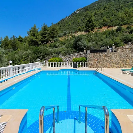 Tekce Yesiluzumlu N17