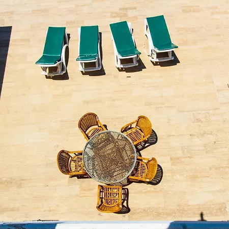 Tekce Yesiluzumlu N17 *