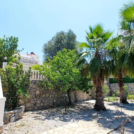 Tekce Yesiluzumlu N17