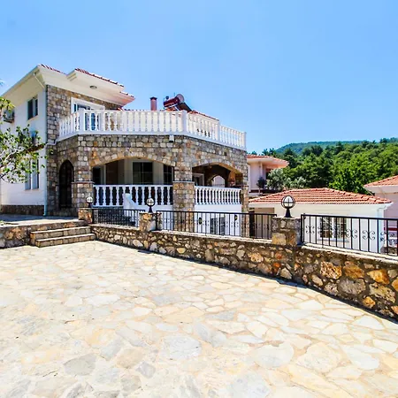 Tekce Yesiluzumlu N17 *