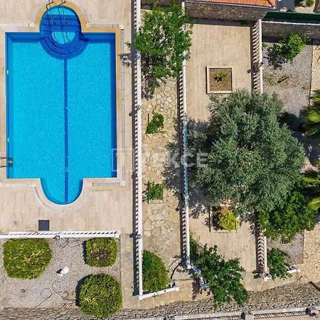 Tekce Yesiluezuemlue No 17 Uzumlu (Aegean)