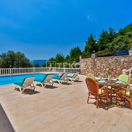 Tekce Yesiluezuemlue No 17 Uzumlu (Aegean)