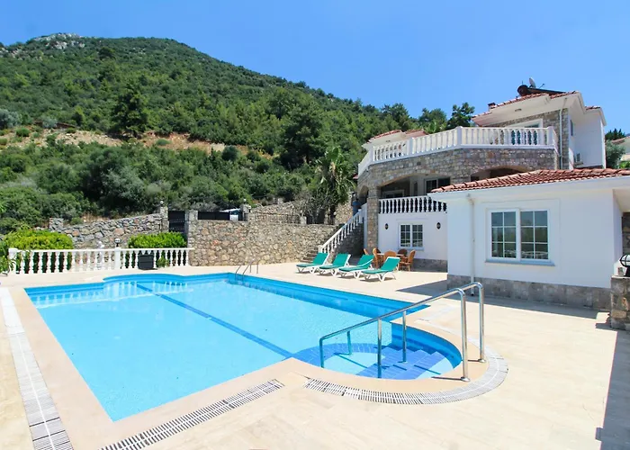 Willa Tekce Yesiluzumlu N17 Uzumlu (Aegean)