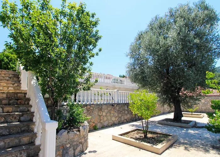 Tekce Yesiluzumlu N17 *