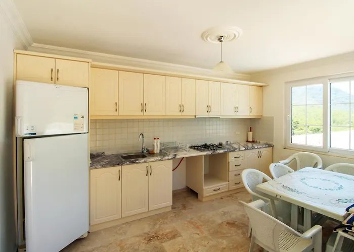 Tekce Yesiluzumlu N17 *